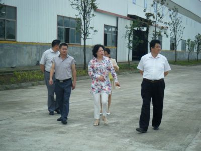 Lu County, Yang Juchang and Cheng Shuji and his entourage to visit our company to guide the work