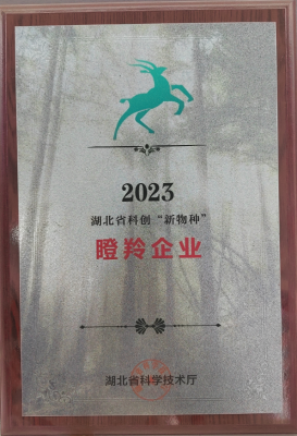 瞪羚企业