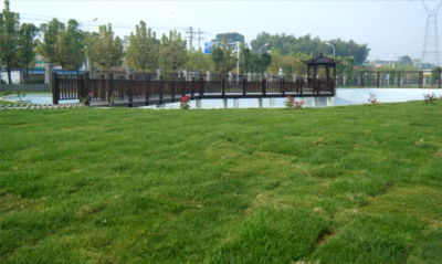 公司风景